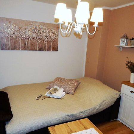 Studio Apartman Tvrtko Varasd Kültér fotó