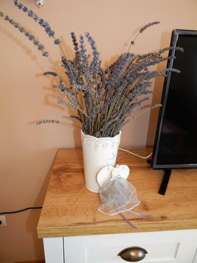 Studio Apartman Tvrtko Varasd Kültér fotó